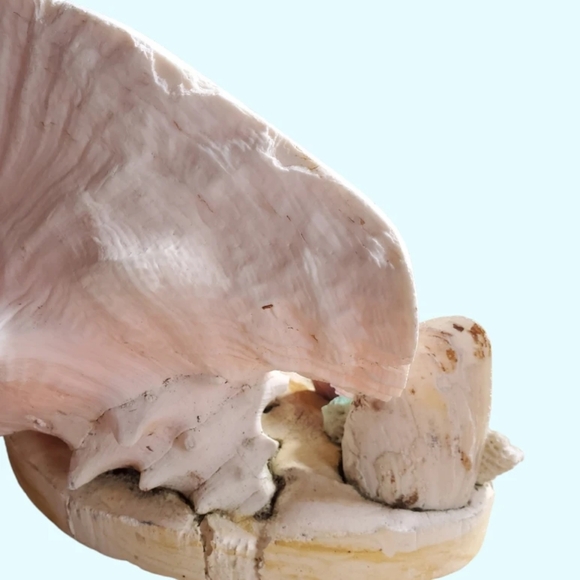 Vintage seashell diorama/TV lamp - Picture 6 of 9